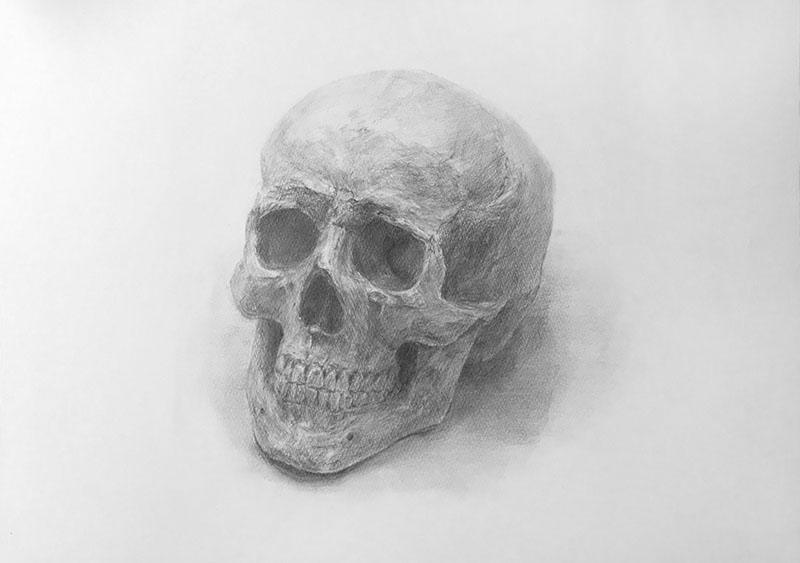 石膏像 彫刻 オブジェ 頭蓋骨 ドクロ スカル デッサン 置物 インテリア 美術品