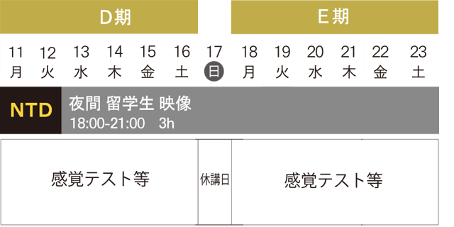 夏季講習会　留学生　D-E期　